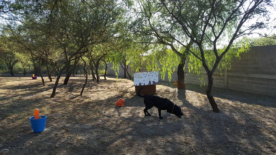 Hotel para perros Animals Country