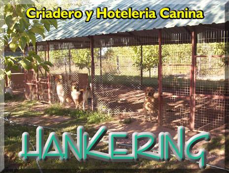 Hotel para perros Hotel Canino Hankering