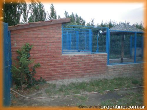 Hotel para perros Hostería Canina