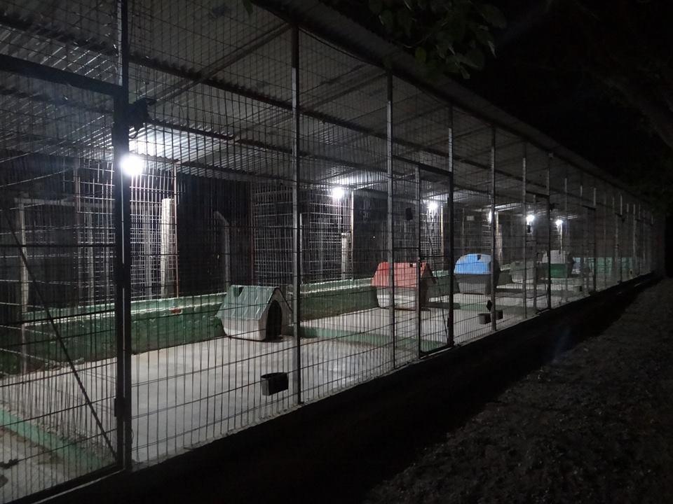 Hotel para perros Hotel para Perros Albardón
