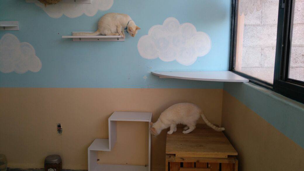 Hotel para perros y gatos Pets Time