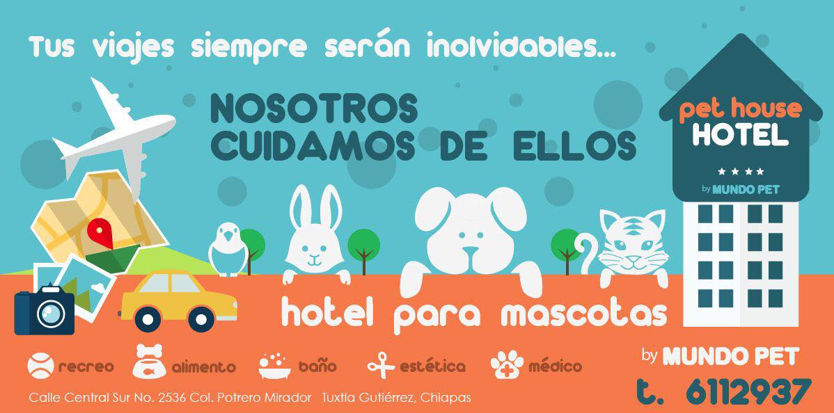 Hotel para perros y gatos Hoel Pet House