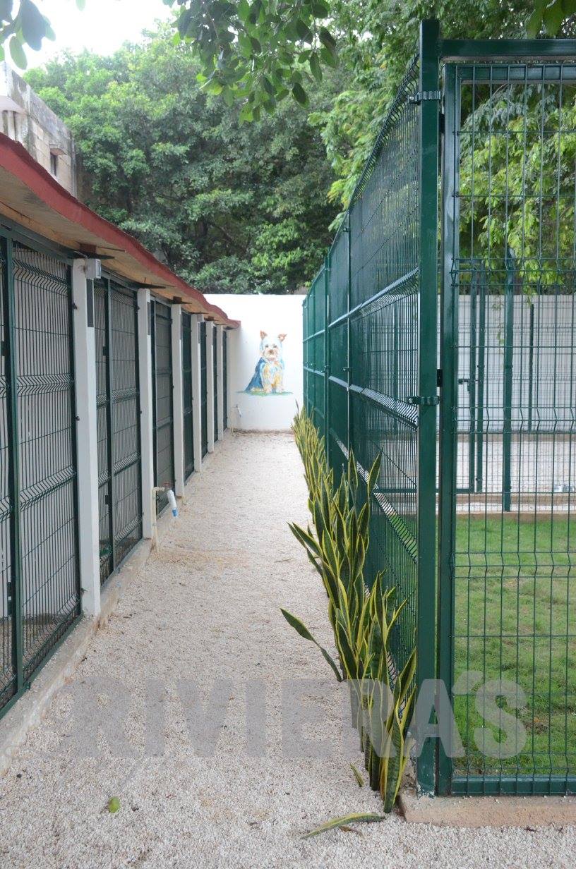 Hotel para perros Perrolandia