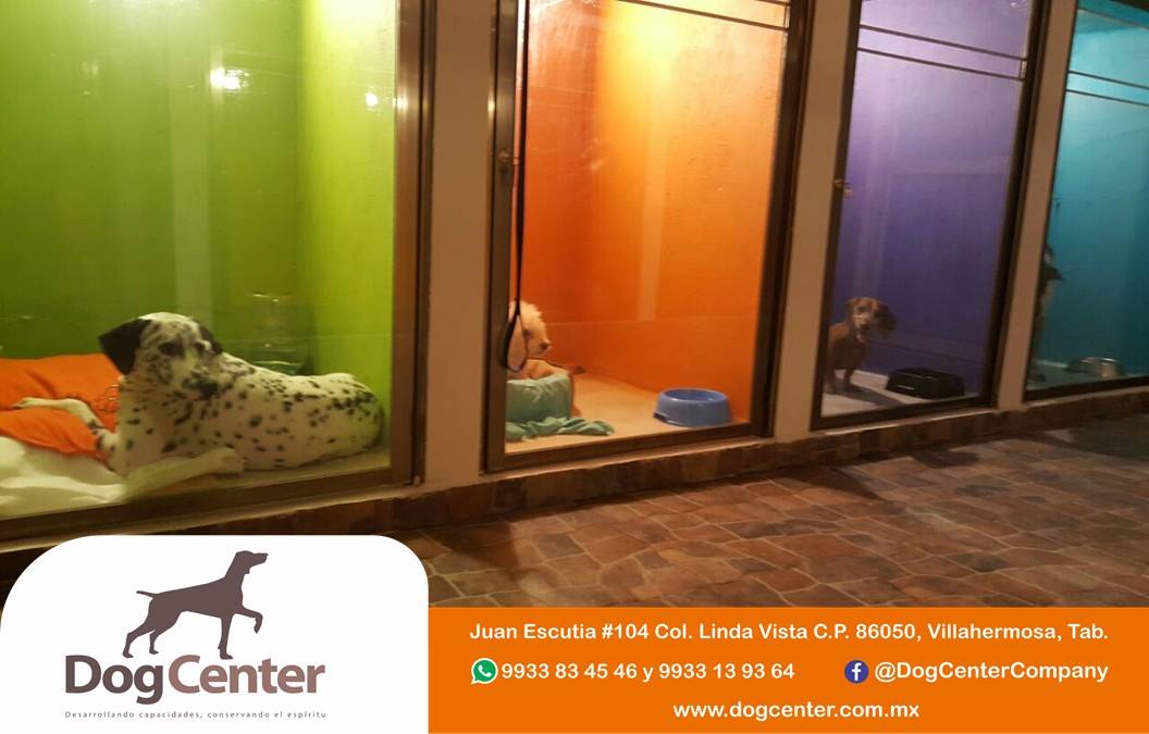 Hotel para perros Dog Center Tabasco