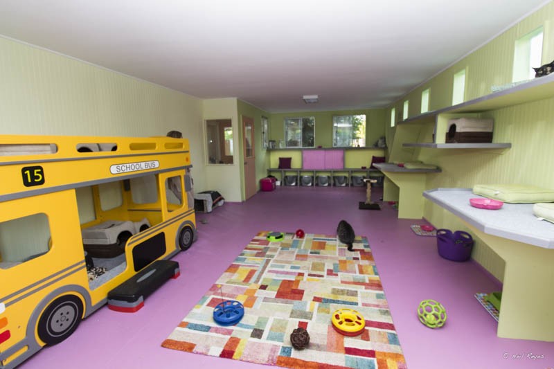 Hotel para perros y gatos El Tulipan