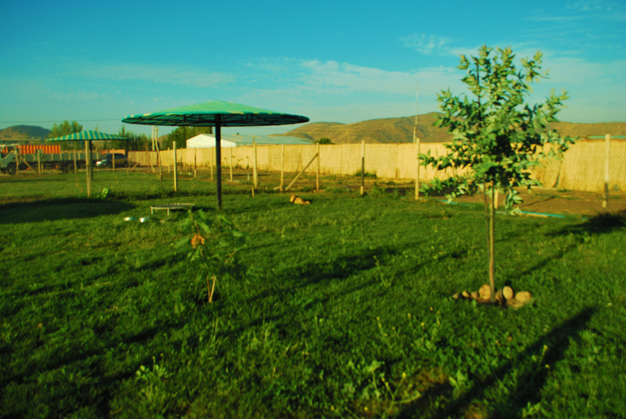 Hotel para perros y gatos PetCamp