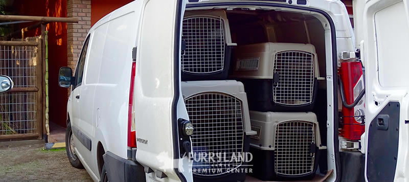 Hotel para perros Furryland