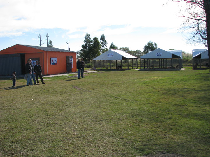 Hotel para perros Dogs Club Hotel Canino