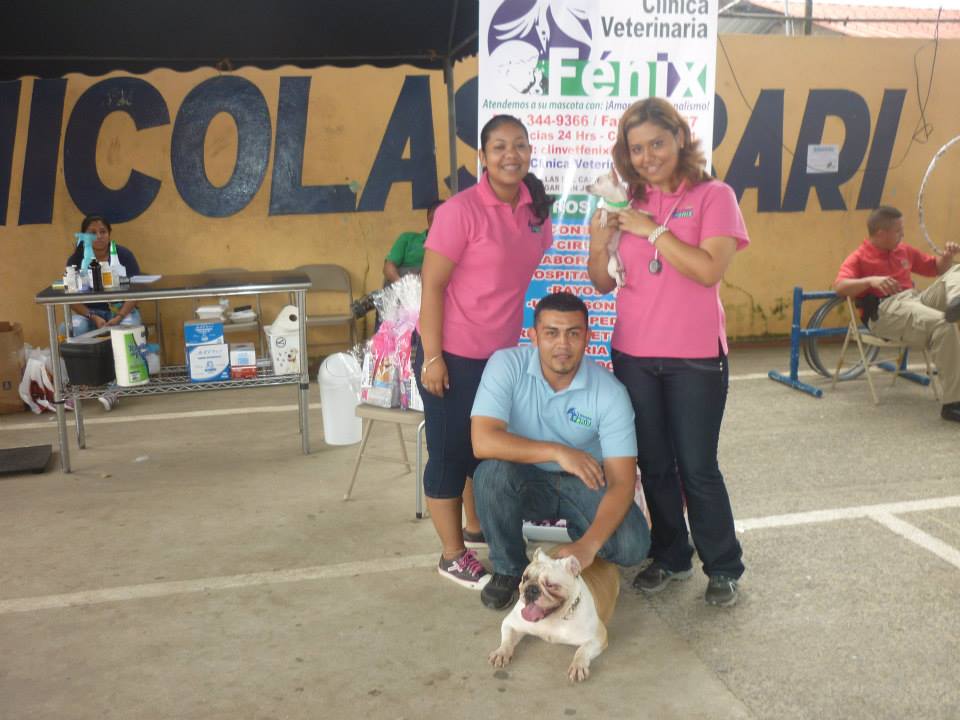 Hotel para perros y gatos Clínica Veterinaria Fénix