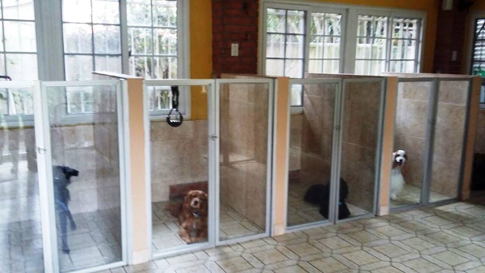 Hotel para perros Huesitos Pets