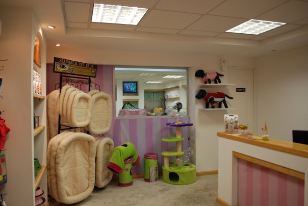 Hotel para perros Legally Pet