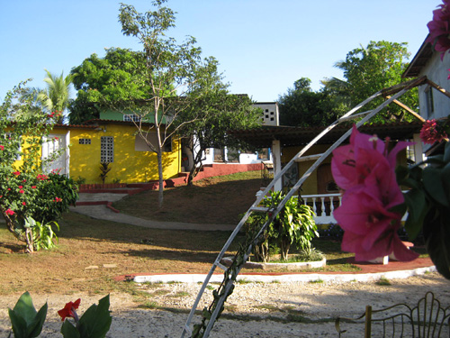 Hotel para perros Mascota Resort
