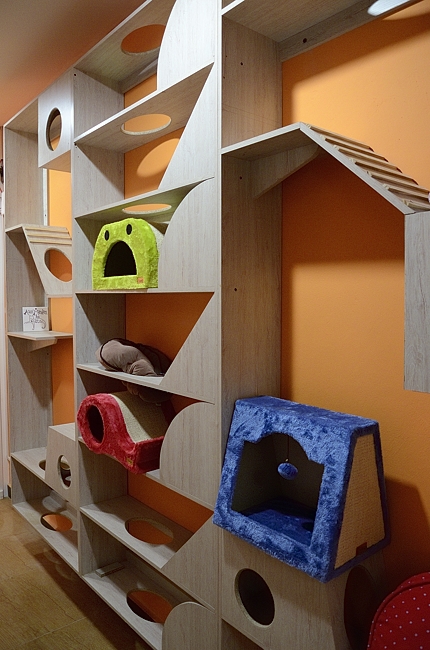 Hotel para perros y gatos VETS