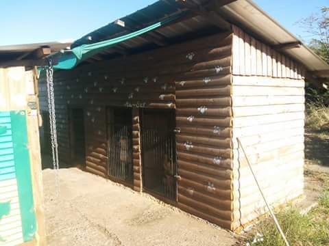 Hotel para perros Masur Chile