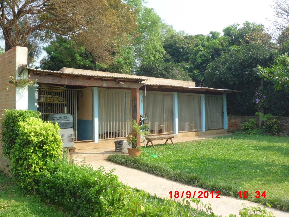 Hotel para perros Escuela Canina Paraguay
