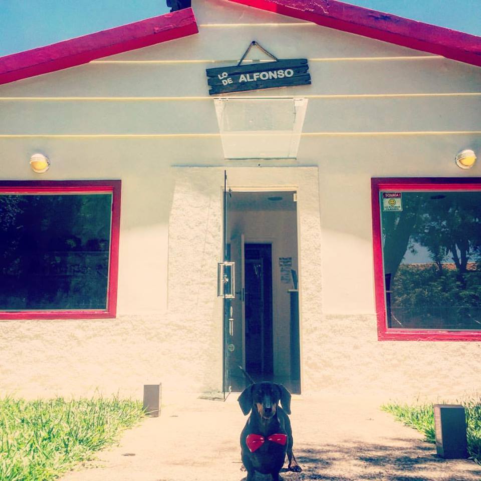 Hotel para perros y gatos Lo de Alfonso