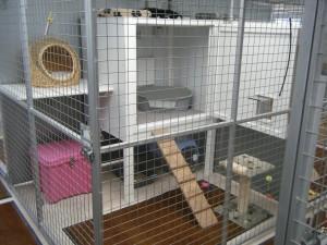 Photo of Bardival