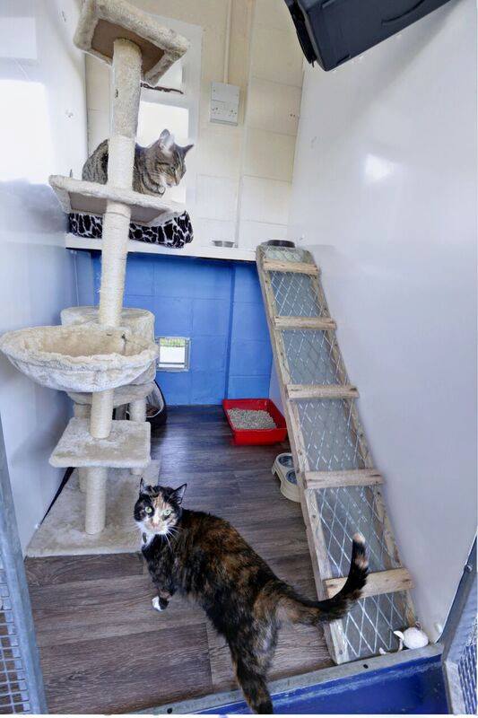 My Pet Stop Boarding Kennel