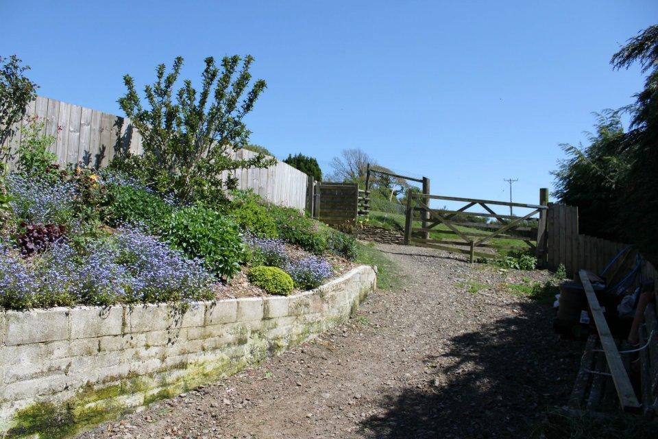 The Dog Lodge Devon Boarding Kennel