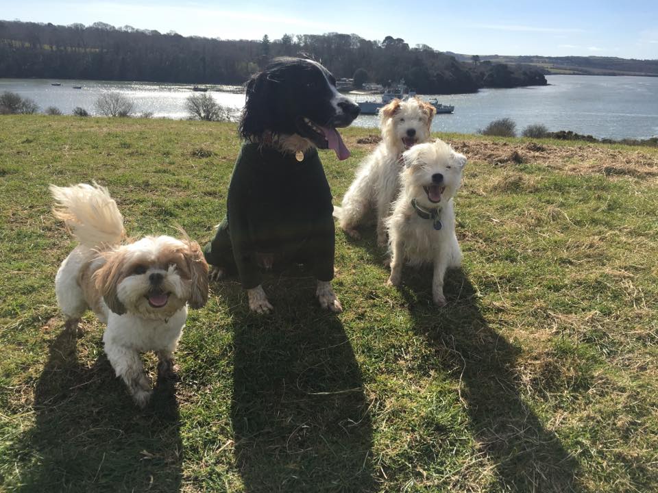 Burnsbys Walkies Boarding Kennel