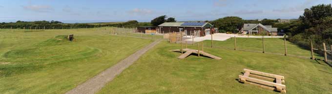 Natcott Canine Hotel Boarding Kennel