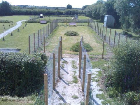 The Wag Pad Boarding Kennel