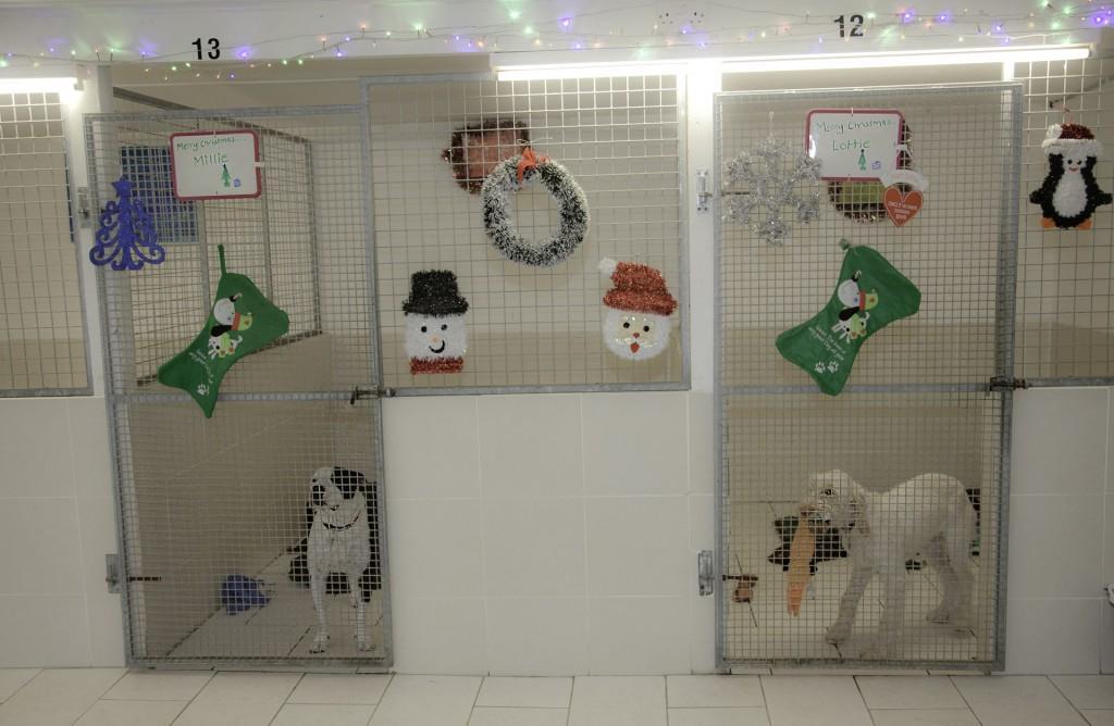 Grove Nurseries Boarding Kennel