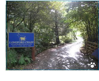 Photo of Longford Chase
