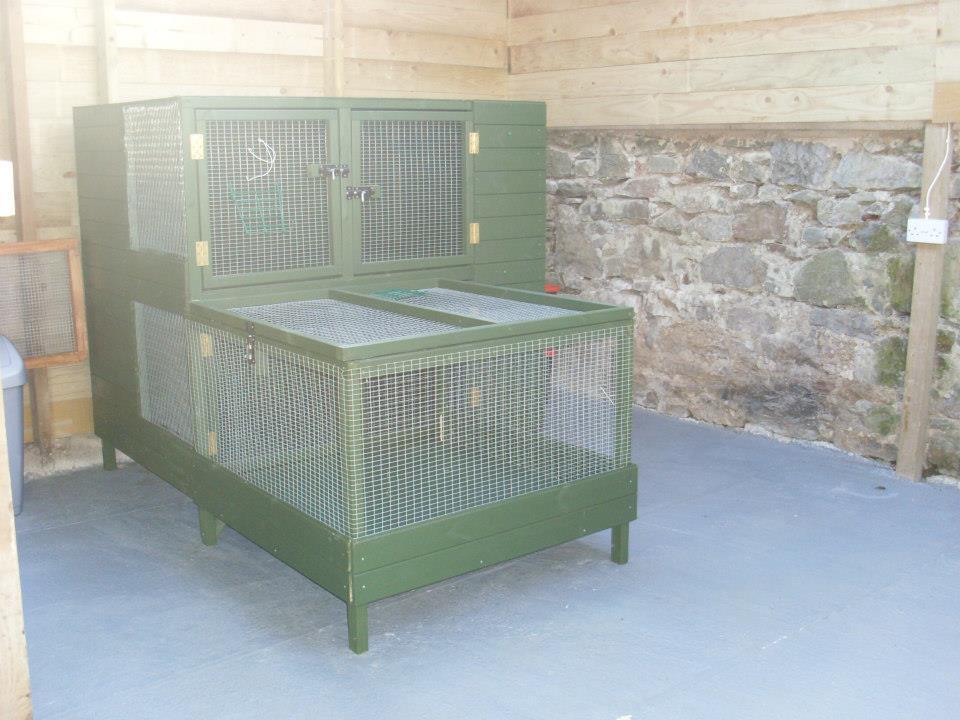 Dolbeare Boarding Kennel