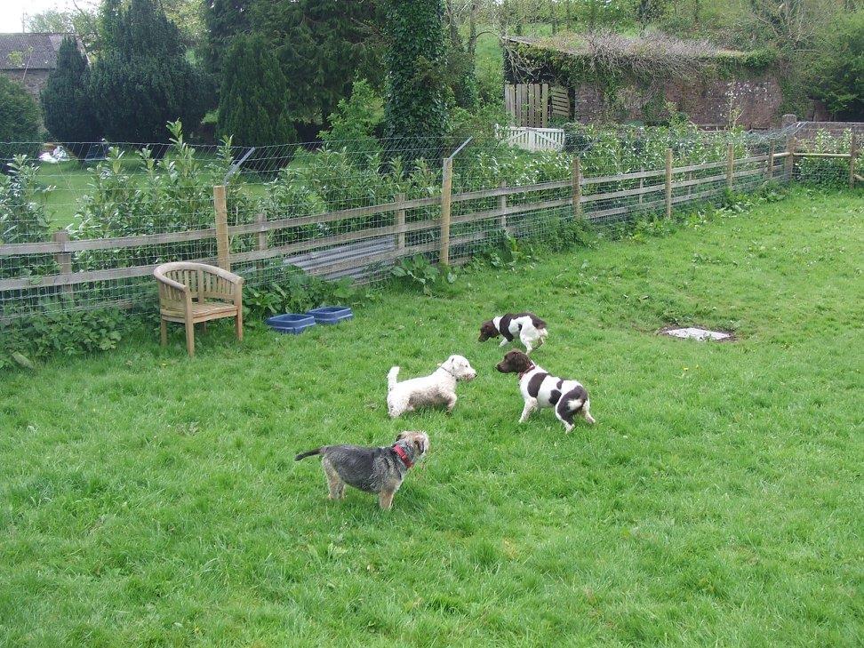 County Hounds Boarding Kennel