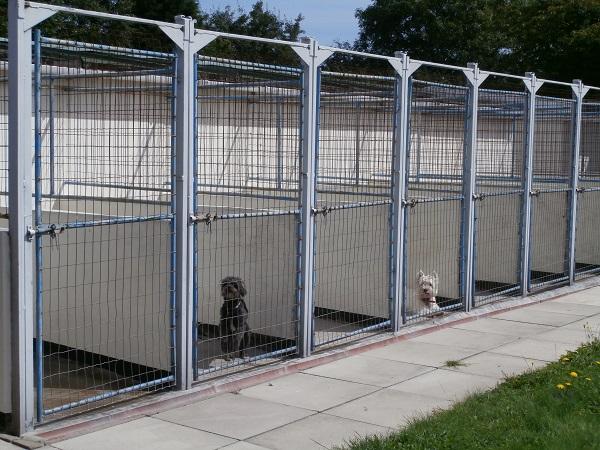 Sanscoe Boarding Kennel