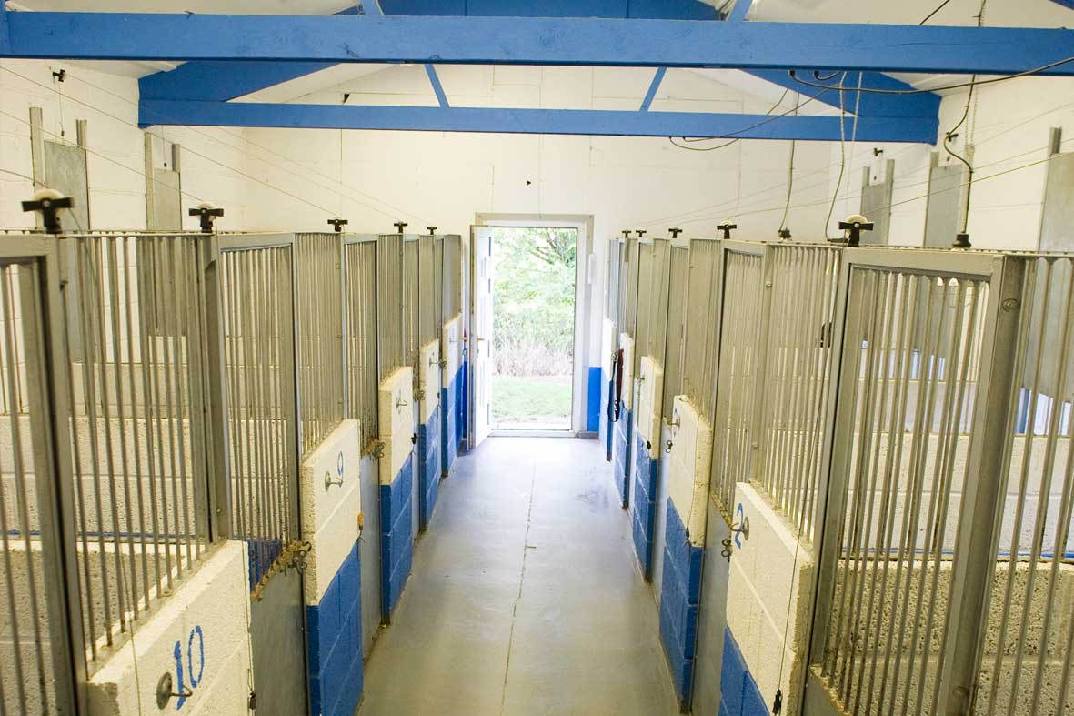 Barnetby Boarding Kennel