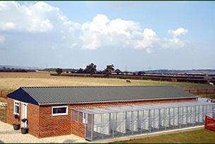 Animal Heaven Boarding Kennel