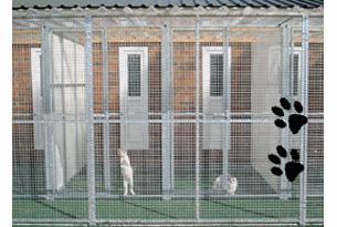 Photo of Animal Heaven
