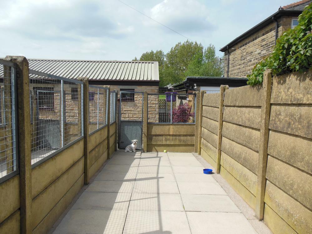 Ashwood House Boarding Kennel