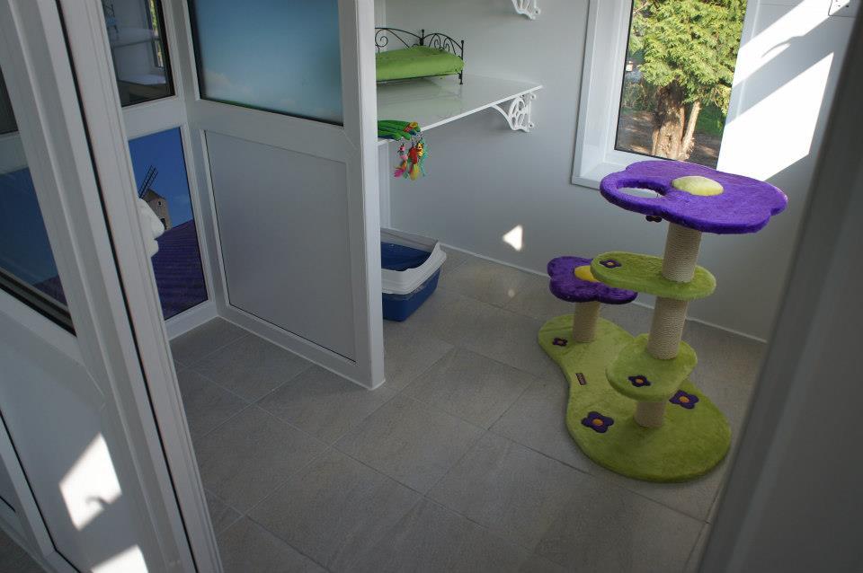 The Rhyddings Boarding Kennel