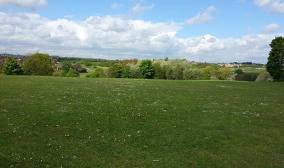 Yorkshire Luxury Dog Boarding Kennel