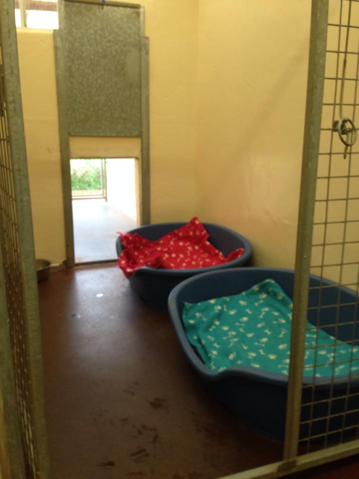 Clifford Moor Boarding Kennel