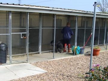Mount Pleasant Boarding Kennel