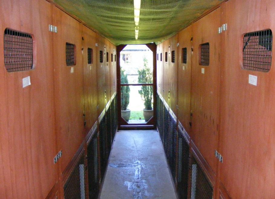 Photo of Sowood