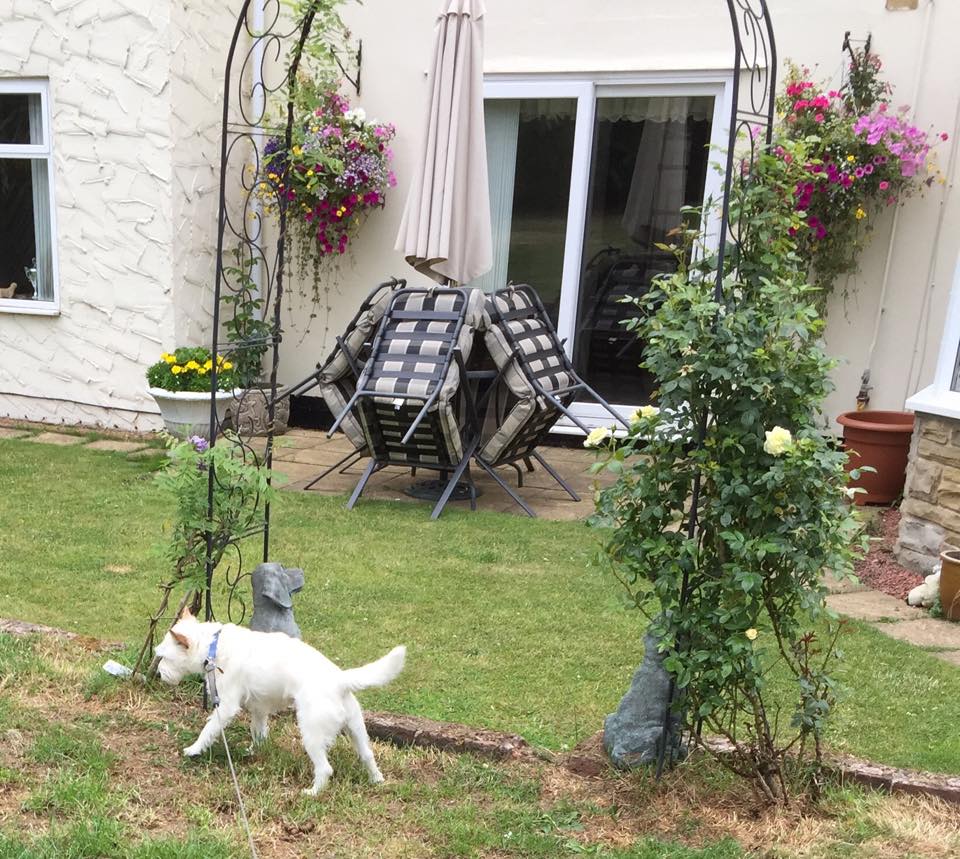 Laburnum Boarding Kennel