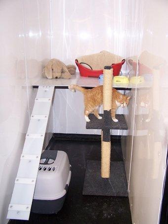 The Runtlings Boarding Kennel