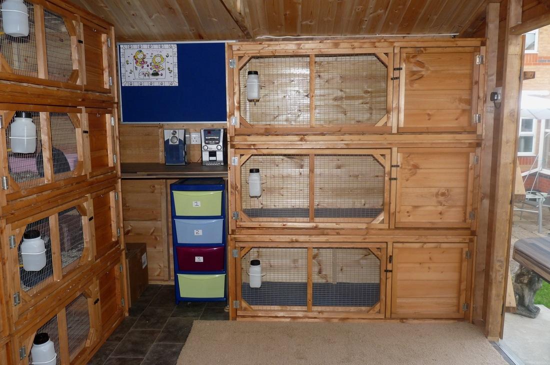 Bunny Hop Lodge Boarding Kennel
