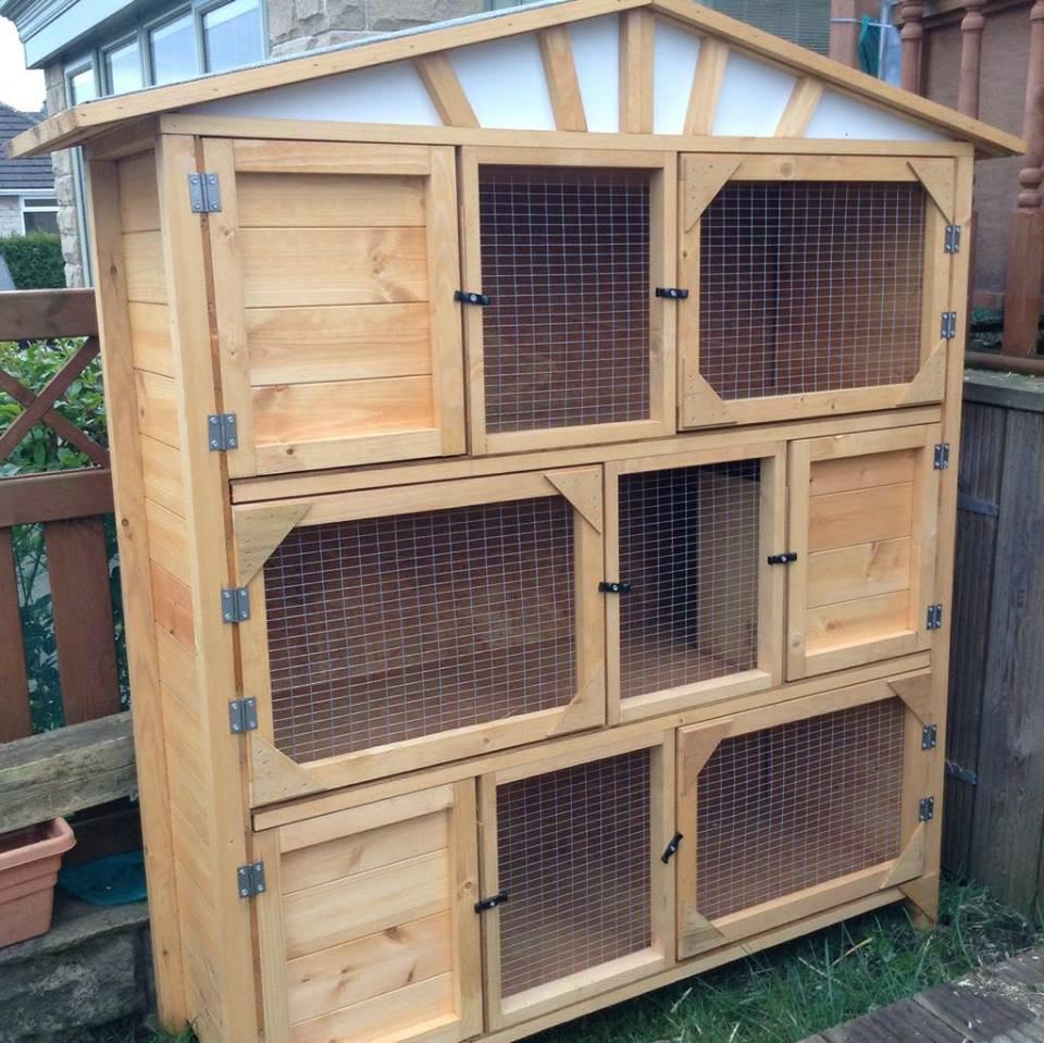 Nkalka Bunny Hotel Boarding Kennel