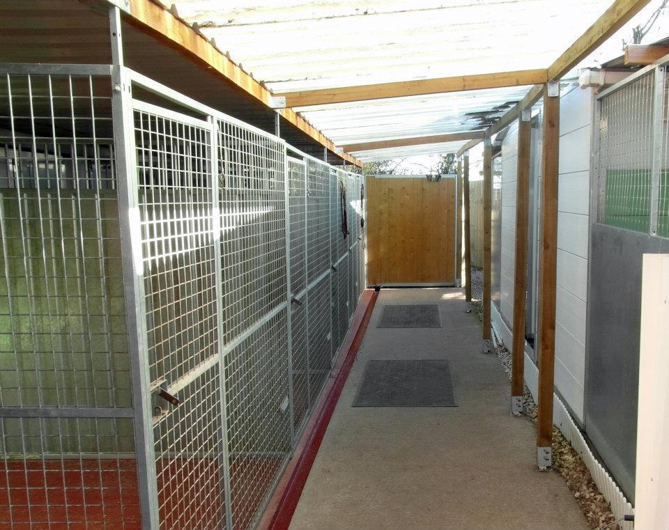 Pointer Farm Boarding Kennel