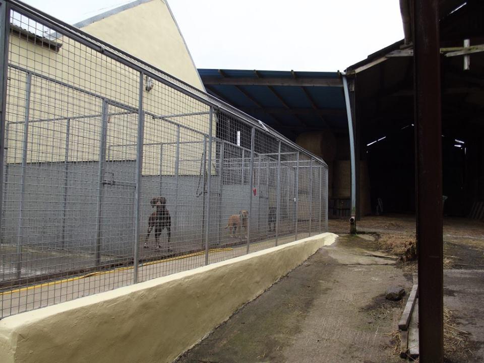 Gilead House Farm Boarding Kennel