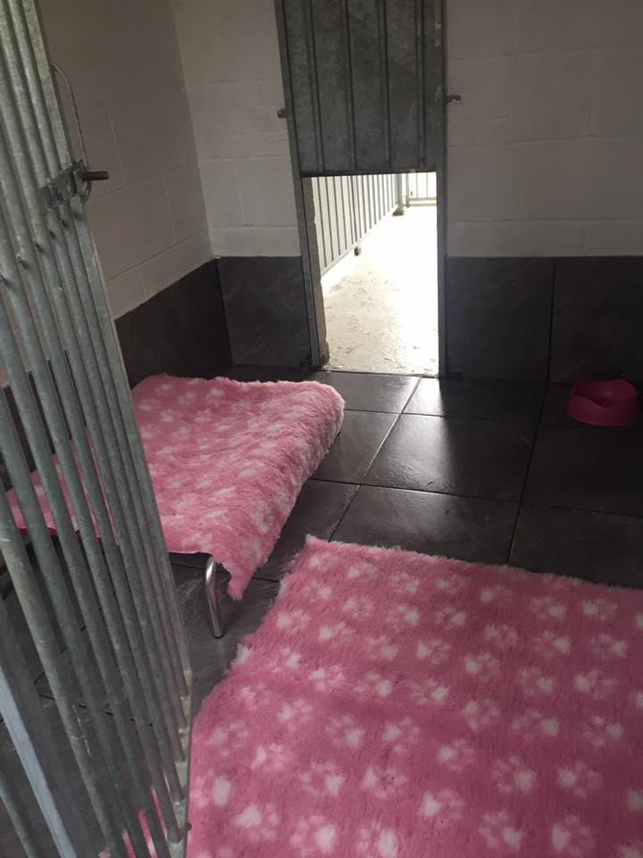 Arlandohy Boarding Kennel