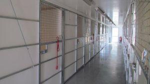 Waggy Tails Boarding Kennel