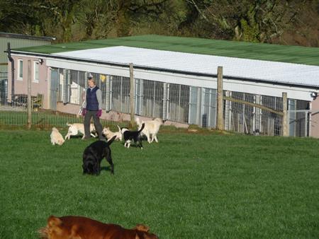 White Bridge Boarding Kennel
