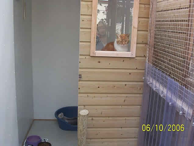 Devondale Boarding Kennel